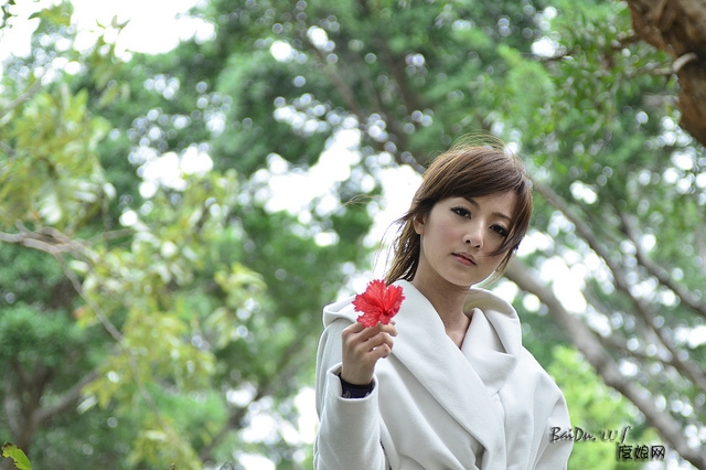 721790310d516a4b00b5030dabd822e0