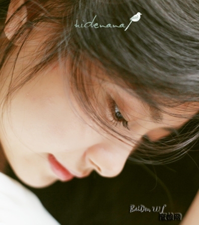 44413c8919c26fa7f8687b02292a0257