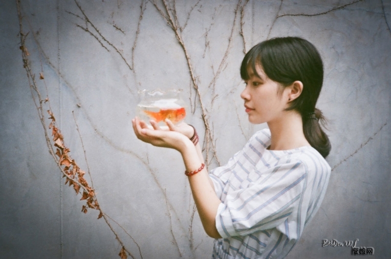 31782c5901c36ddb238e0f4a39e6156f