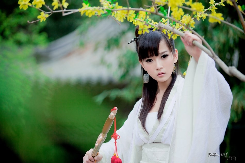 1205250935a61cf44bcfa14efb