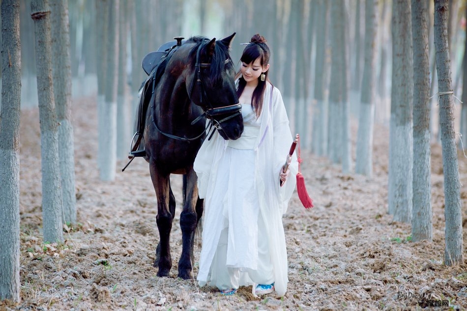 1205250935d76d2261b4b0ecb9